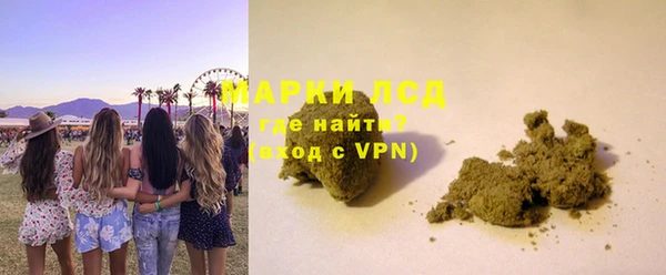 стаф Белокуриха