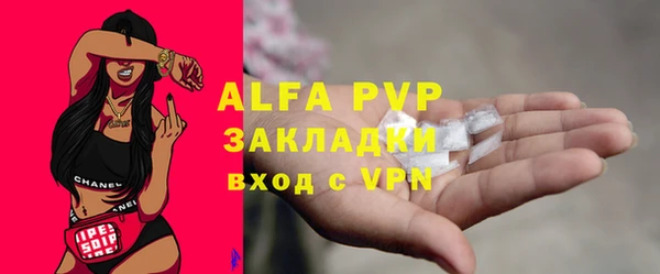 стаф Белокуриха