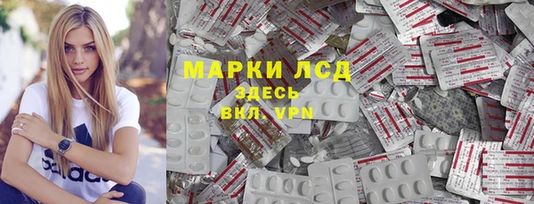 стаф Белокуриха
