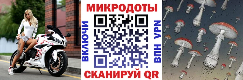 хочу   Кудрово  дарк нет состав  Псилоцибиновые грибы мицелий 